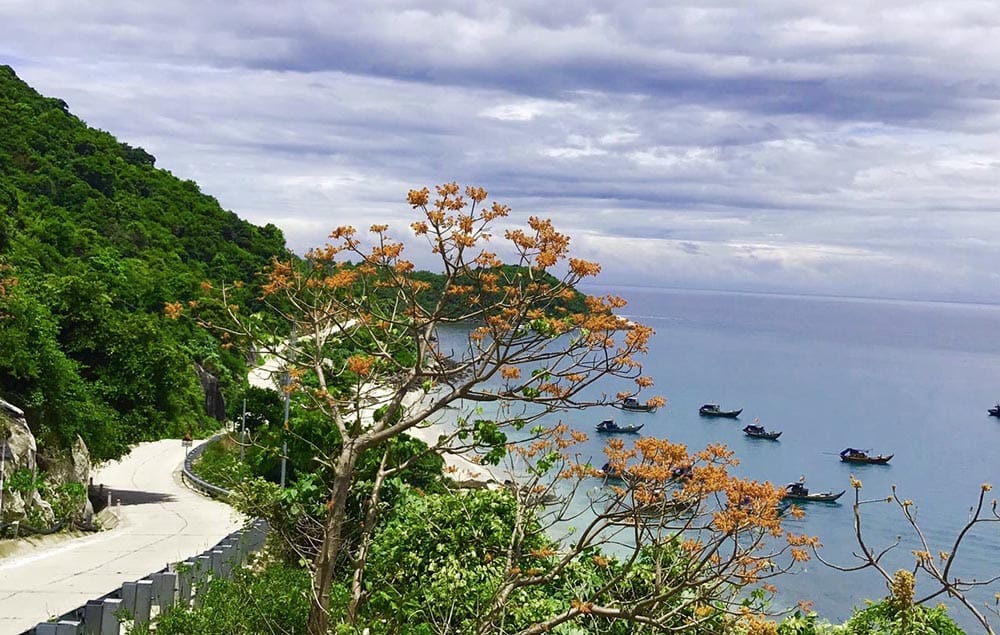 Cu Lao Cham Tour Guide, Where the Sea Still Whispers and Time Loiters