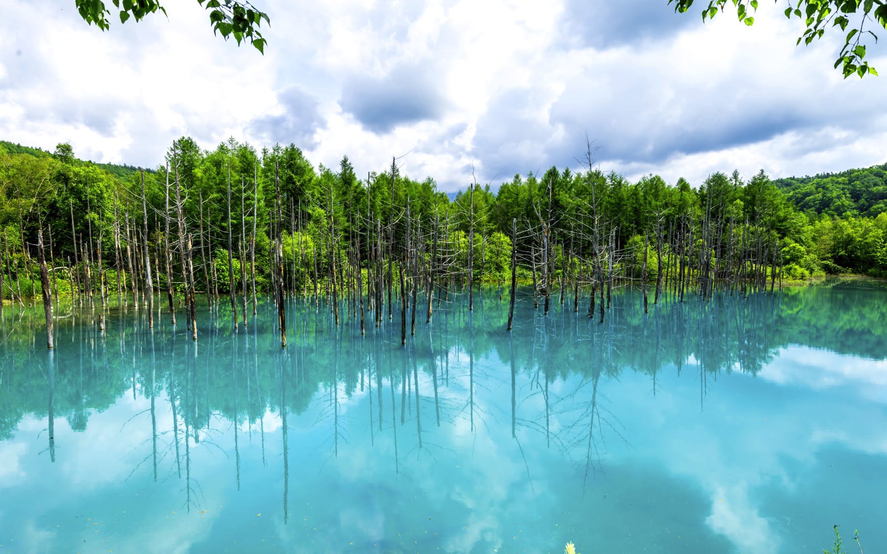 Japan Nature Tour, Hokkaido and the Art of Seasonal Wonder