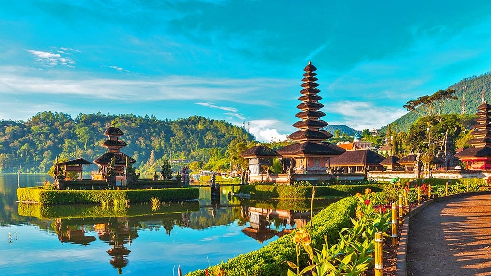 Island Tour Guide, Where Summer Learns a Better Language