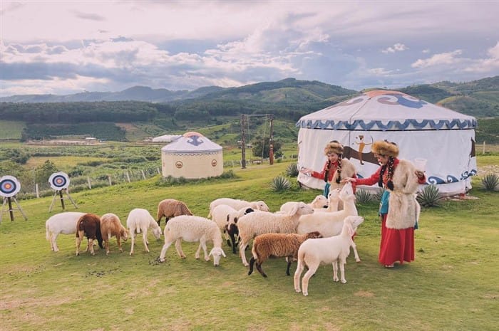 The Ultimate Climate Shock, Why You Need to Combine Nha Trang and Da Lat This New Year